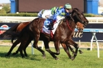 Viadana Included In Let’s Elope Stakes Field