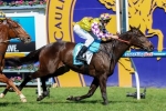 Henwood Upstages Caulfield Cup Hopefuls