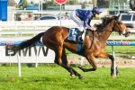 Atlantic Jewel A Chance To Contest The Underwood Stakes