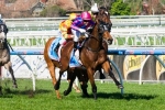 Dabernig Pleased with Stradbroke Hopeful Fast ‘N’ Rocking Dabernig Pleased with Stradbroke Hopeful Fast ‘N’ Rocking