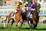 Prince Harada new favourite for the Golden Rose Stakes Prince Harada new favourite for the Golden Rose Stakes