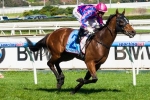 Oakleigh Plate The Autumn Goal For Fast ‘N’ Rocking Oakleigh Plate The Autumn Goal For Fast ‘N’ Rocking