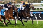 Kesampour Set To Improve In Naturalism Stakes Kesampour Set To Improve In Naturalism Stakes