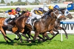 OTI Thrilled To Have Lidari In Caulfield Cup Field OTI Thrilled To Have Lidari In Caulfield Cup Field