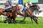 Moody Looking For Lidari To Relax In The Dato’ Tan Chin Nam Stakes Moody Looking For Lidari To Relax In The Dato’ Tan Chin Nam Stakes
