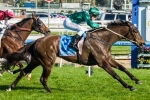 2014 Newmarket Handicap Tips: Price Pair Tough To Beat 2014 Newmarket Handicap Tips: Price Pair Tough To Beat
