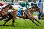 2014 Newmarket Handicap Tips: Price Pair Tough To Beat