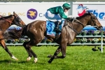 Newitt upbeat about Samaready’s chances in Moir Stakes Newitt upbeat about Samaready’s chances in Moir Stakes