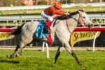 Prairie Star Included In Chester Manifold Stakes Nominations Prairie Star Included In Chester Manifold Stakes Nominations