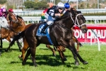 Queen Elizabeth Stakes On The Agenda For Sincero
