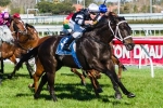 Sincero Fitter Ahead Of George Main Stakes Sincero Fitter Ahead Of George Main Stakes