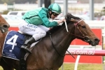 Humidor takes first steps back for third Cox Plate campaign