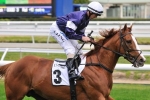 Weir Trio Need To Improve In 2014 Ballarat Cup