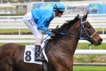 Black And Bent Chasing 11 Straight in Bendigo Black And Bent Chasing 11 Straight in Bendigo