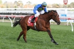 Jameka To Caulfield Cup After Naturalism Stakes Win