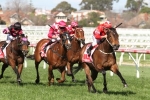Secret Agenda Too Good In Ladbrokes Odds Boost Stakes Secret Agenda Too Good In Ladbrokes Odds Boost Stakes