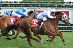 Step up in distance will suit Magnapal in Ballarat Cup Step up in distance will suit Magnapal in Ballarat Cup