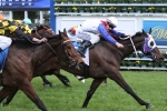 Myer Classic the Target for How Stakes Stakes Winner Politeness Myer Classic the Target for How Stakes Stakes Winner Politeness
