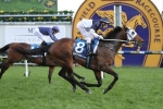 Tarzino Dominant Favourite In Victoria Derby Betting