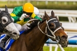 Waller has strength in numbers in Hollindale Stakes nominations Waller has strength in numbers in Hollindale Stakes nominations