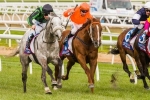 Gris Caro In Great Condition Ahead Of Turnbull Stakes