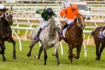Gris Caro Removed From Caulfield Cup Field