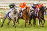 Bonfire’s Winter Cup Odds Shorten Bonfire’s Winter Cup Odds Shorten