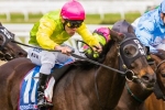 Star Fashion To Resume In Tressady Stakes