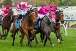 Waller Expecting Catkins To Be Tough To Beat In Blazer Stakes
