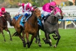 Catkins takes out Sprint Series Heat 2 Stakes Catkins takes out Sprint Series Heat 2 Stakes