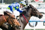 Gregers needs a win to consider start in Sir Rupert Clarke Stakes