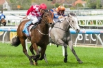McEvoy Rates Iconic His Best Winning Chance In The Rubiton Stakes McEvoy Rates Iconic His Best Winning Chance In The Rubiton Stakes