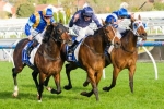 Betting Favourite For The 2013 Cox Plate Continues To Firm