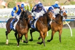 Betting Favourite For The 2013 Cox Plate Continues To Firm Betting Favourite For The 2013 Cox Plate Continues To Firm