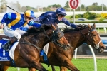 It’s A Dundeel Ready For Queen Elizabeth Stakes It’s A Dundeel Ready For Queen Elizabeth Stakes