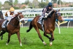 Mr O’Ceirin To Be Ridden Forward In Hollindale Stakes