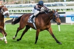 Mr O’Ceirin Heads Caloundra Cup Field Mr O’Ceirin Heads Caloundra Cup Field
