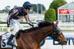 Mr O’Ceirin and Brave Ali head up Caloundra Cup nominations Mr O’Ceirin and Brave Ali head up Caloundra Cup nominations
