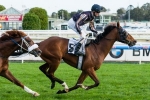 Melbourne Cup Betting Abandons Mr O’Ceirin Melbourne Cup Betting Abandons Mr O’Ceirin