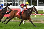 Pike produces magic to win Bendigo Cup on Top Of The Range