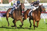 Mr O’Ceirin heading for Caulfield Cup