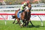 Mackinnon Stakes Goal For Hvasstan Mackinnon Stakes Goal For Hvasstan