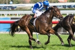 Cameron Confident Lady Of Harrods Can Break Drought This Weekend Cameron Confident Lady Of Harrods Can Break Drought This Weekend