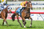 Lankan Rupee In Excellent Condition Before Kevin Heffernan Stakes