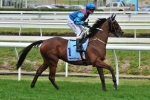 Spartan Eagle into favourtism for Darwin Cup
