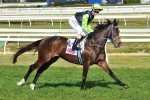 Yosei After Another Tattersall’s Tiara Trophy Yosei After Another Tattersall’s Tiara Trophy