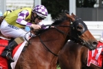 Victoria Derby barrier draw sees Sacred Elixir with the inside gate Victoria Derby barrier draw sees Sacred Elixir with the inside gate