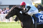 Williams and Dunn neck and neck heading to Flemington Williams and Dunn neck and neck heading to Flemington