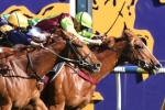 Caulfield Guineas fancy Bon Aurum continues to please Maher