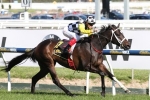 11 Fillies In Thousand Guineas Field 11 Fillies In Thousand Guineas Field
